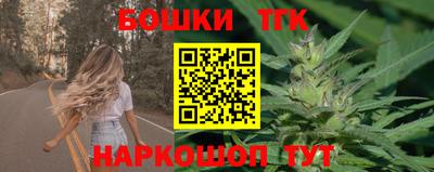 крисы Заводоуковск