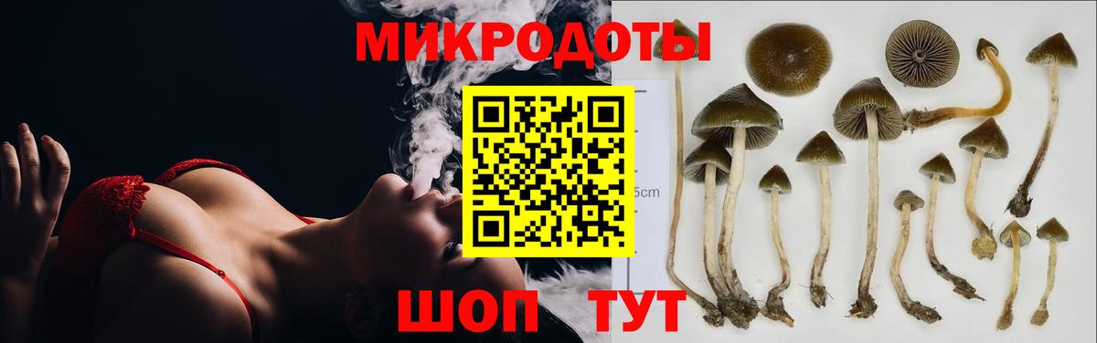 Псилоцибиновые грибы мухоморы  Псилоцибиновые грибы Psilocybe  Красноармейск  Вход с VPN 